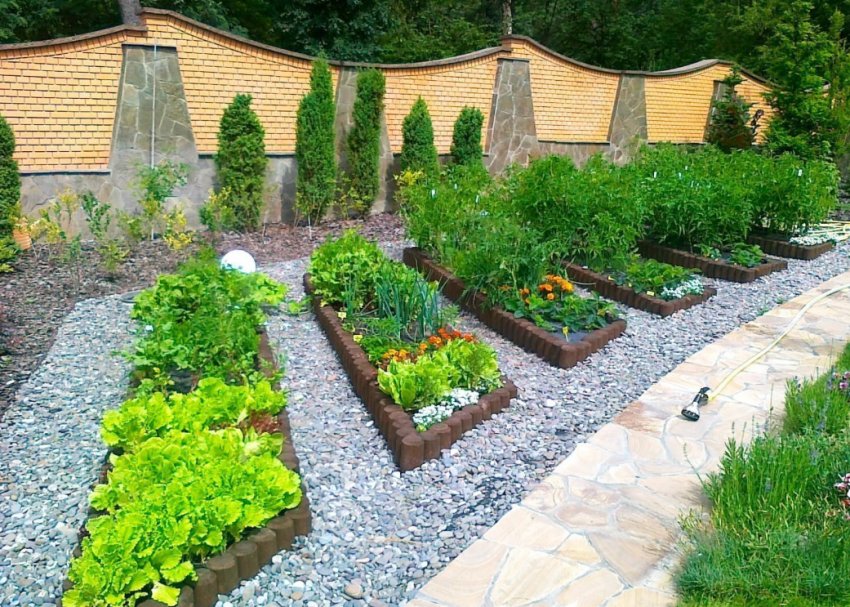 Міні-огород на ділянці