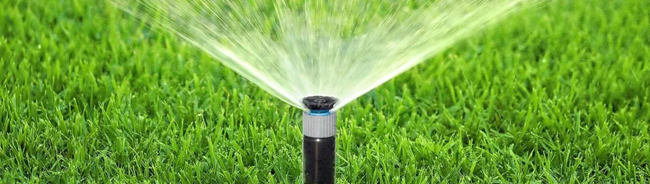 Ринок мікроірригаційних систем у майбутньому досягне великих прибутків: тенденції 2020 року