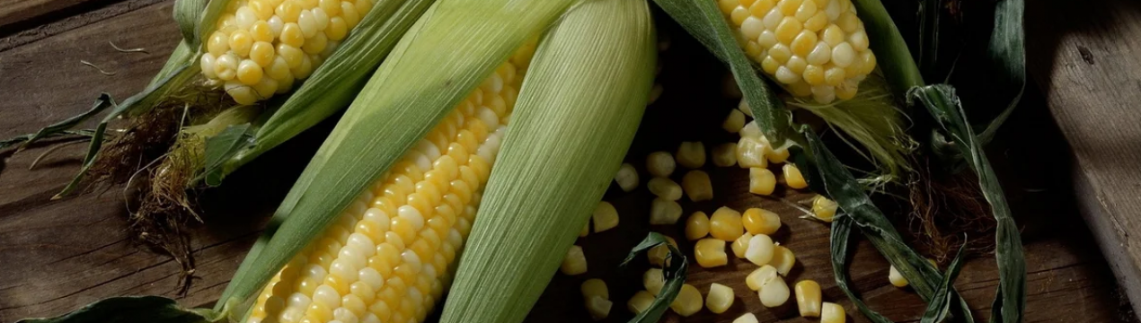 Контрабанда кукурудзи з Зімбабве до Демократичної Республіки Конго