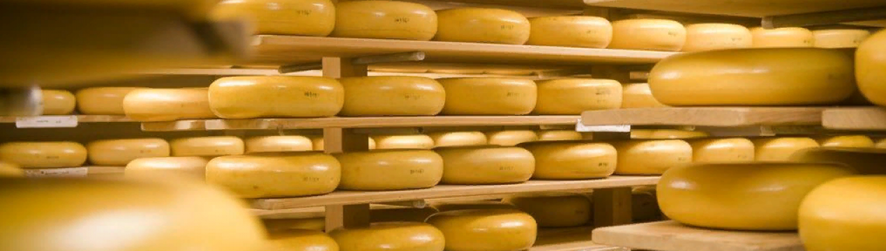 Північно-східний виробник сиру збільшив виробничі потужності завдяки гранту сільського бізнесу