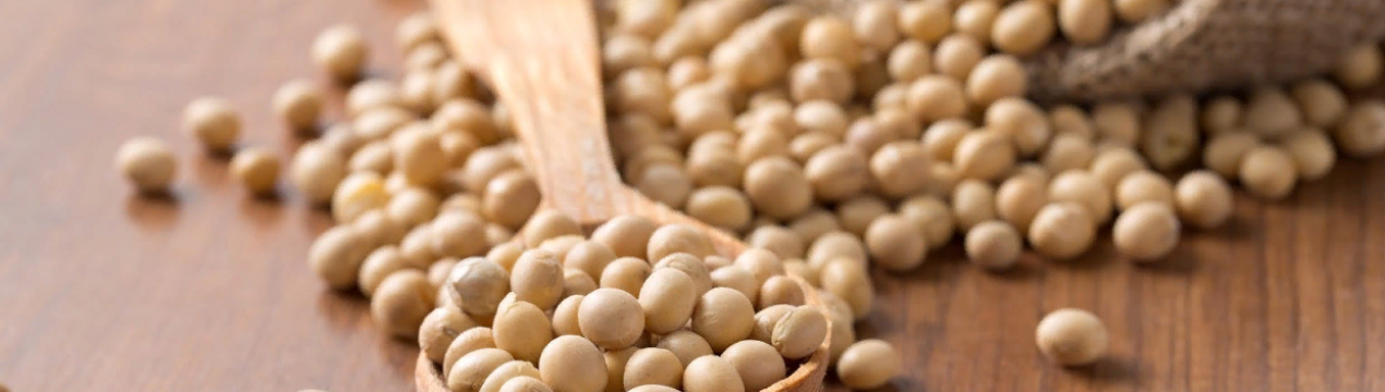 Прогнози щодо зернових культур сільського господарства США