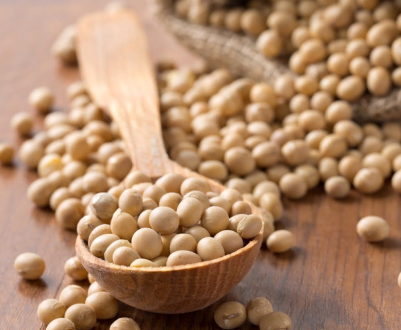 Прогнози щодо зернових культур сільського господарства США