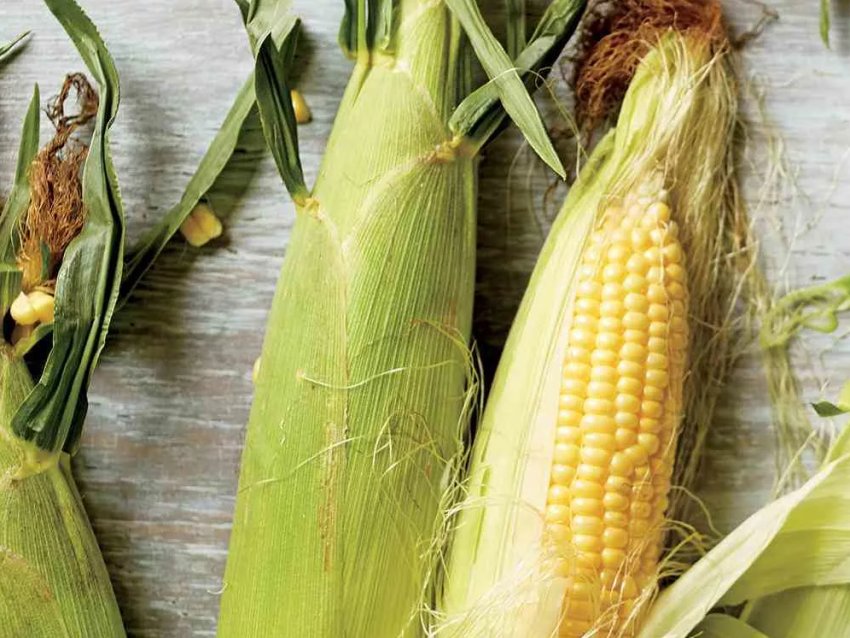 Куди рухаються фьючерси на кукурудзу Куди рухаються фьючерси на кукурудзу