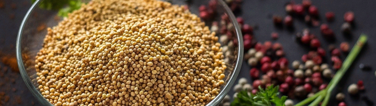 Харьяна закуповує рекордні 6 тисяч тонн гірчиці