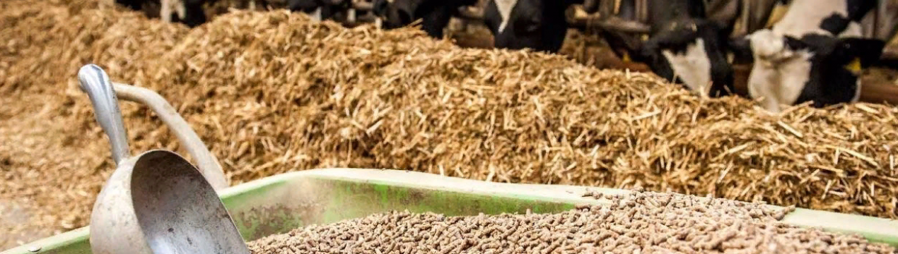 Аналіз ринку сільськогосподарських ферментів США