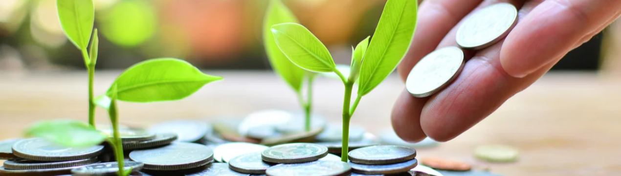 Нігер: Комісія ФЕК затвердила інвестиції на 10 мільярдів на ірригаційний проект в Кваре