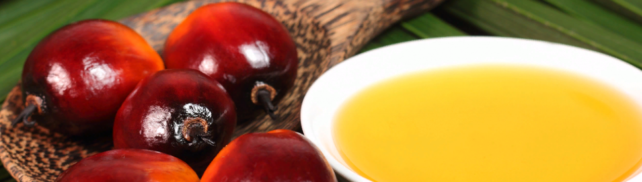 Підвищення цін на пальмову олію на малайзійській товарній біржі