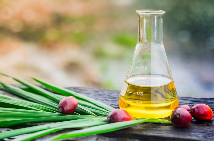 Підвищення цін на пальмове масло на малайзійській товарній біржі Підвищення цін на пальмове масло на малайзійській товарній біржі