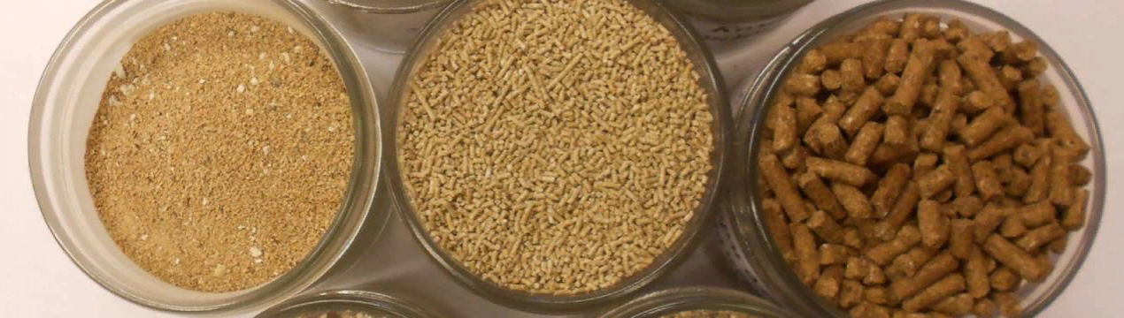 Adisseo та Calysta створюють спільне підприємство з виробництва білкового замінювача у Китаї