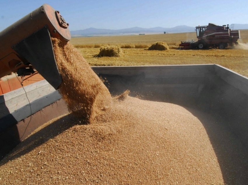 Встановлений період закупівлі пшениці у провінції Сінд у 2020 році Встановлений період закупівлі пшениці у провінції Сінд у 2020 році