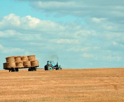 Скорочення національного зграї не має сенсу