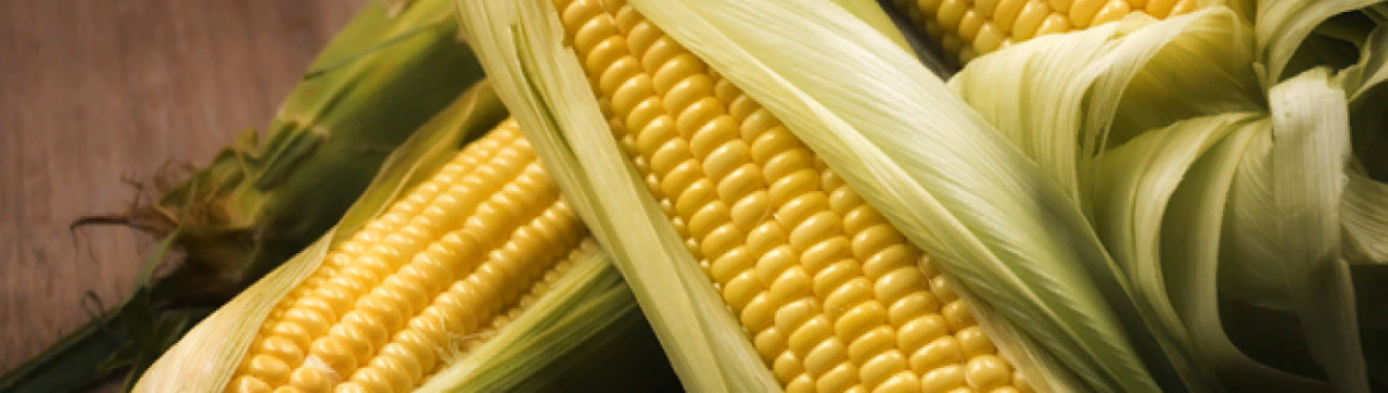 Ресурси угорської сільськогосподарської системи зростають