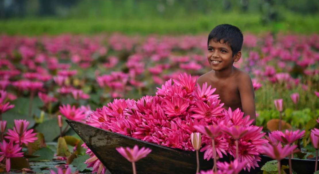 Bangladesh Flower Expo