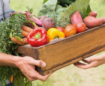 В'єтнам сприяє імпорту сільськогосподарської продукції та технологій з США