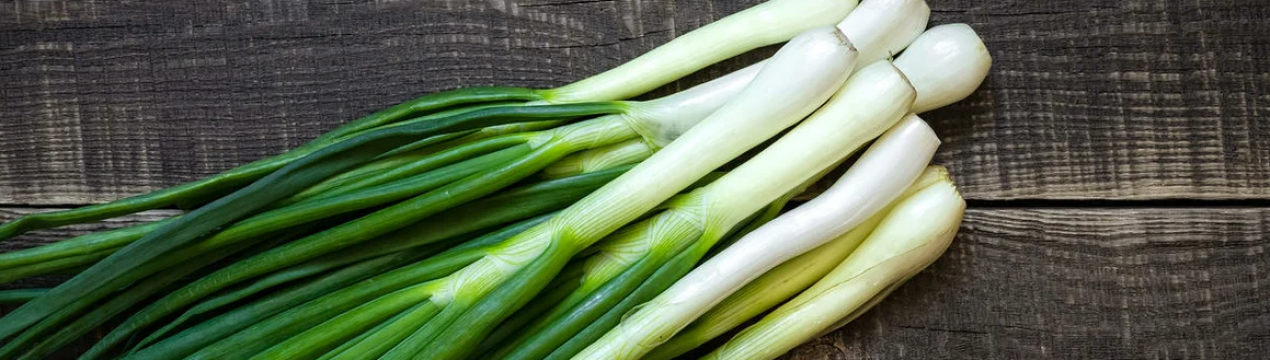 Вирощуємо зелений лук у пляшці