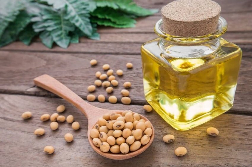 Огляд зернових та олійних культур Північної Америки Огляд зернових та олійних культур Північної Америки