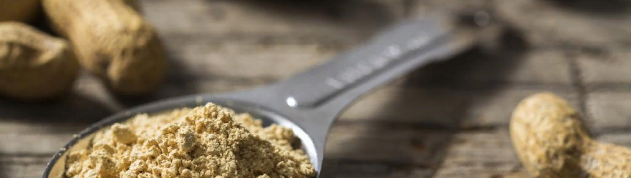 Тенденції ринку арахісової муки: обсяг, сегментація, зростання попиту та прогноз до 2024 року