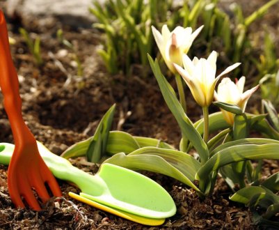 Як підготувати город до нового весняного сезону?