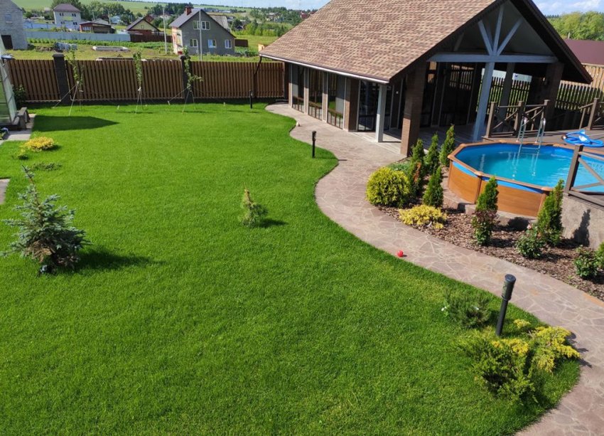 Газон на ділянці Газон на ділянці