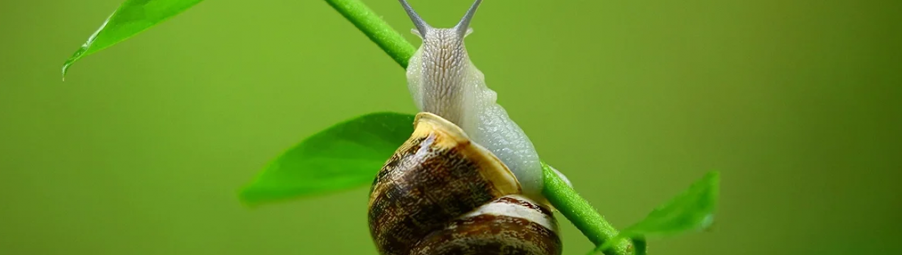 Робот, що знищує вулкан