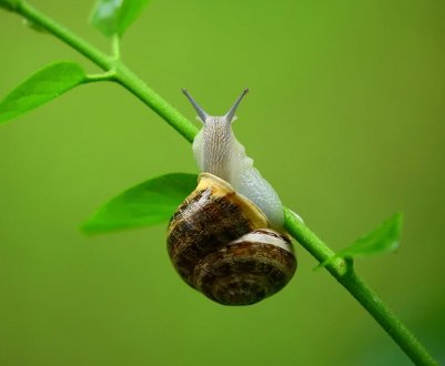 Робот, що знищує вулкан