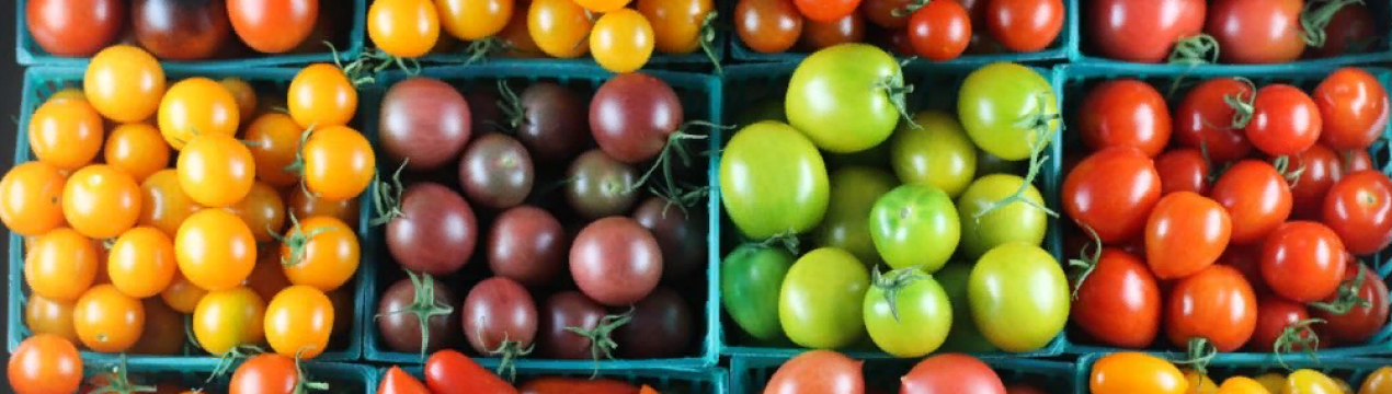 Сорти томатів, які варто посіяти цього сезону