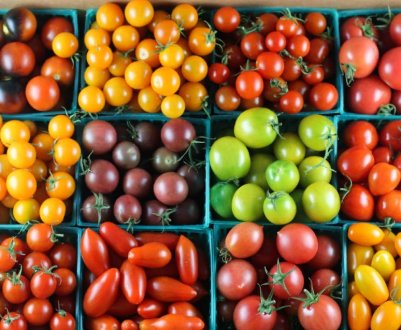Сорти томатів, які варто посіяти цього сезону