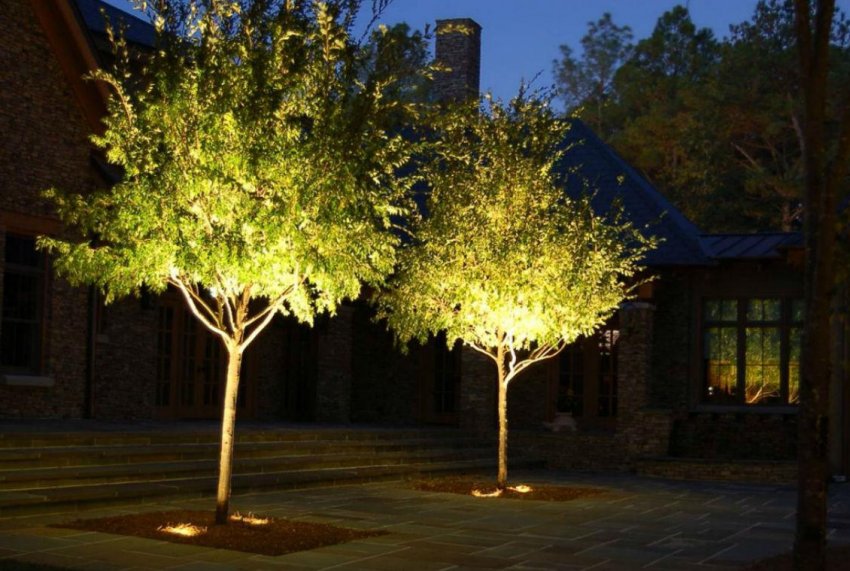 Освітлення дерев на ділянці Освітлення дерев на ділянці