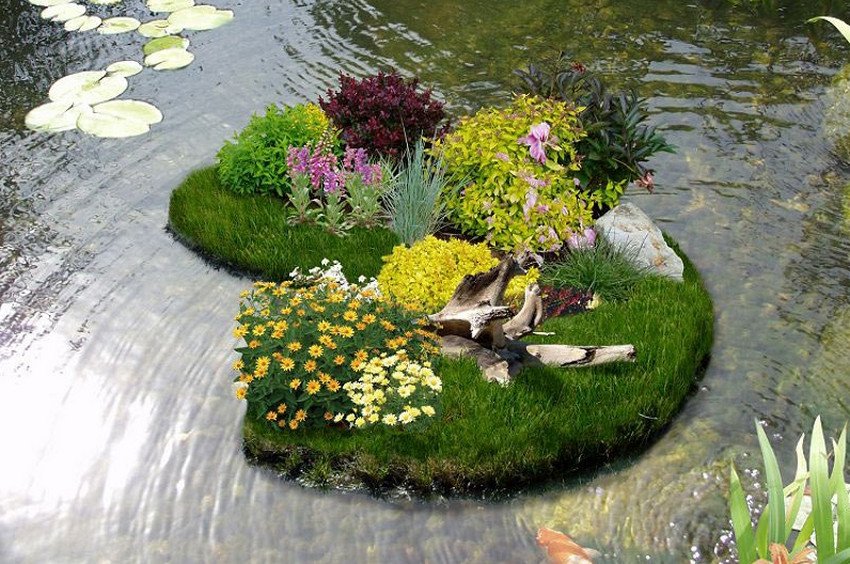 Клумба в водоймі Клумба в водоймі