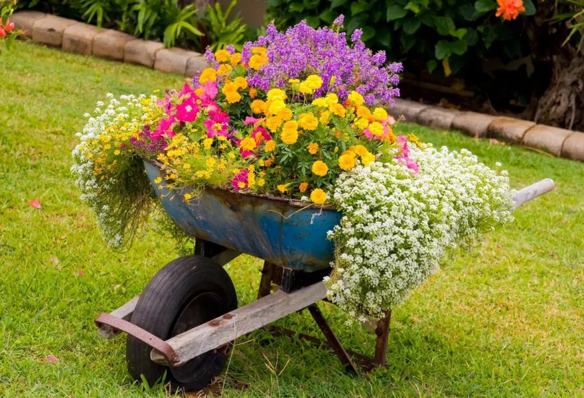 Незвичайна клумба Незвичайна клумба