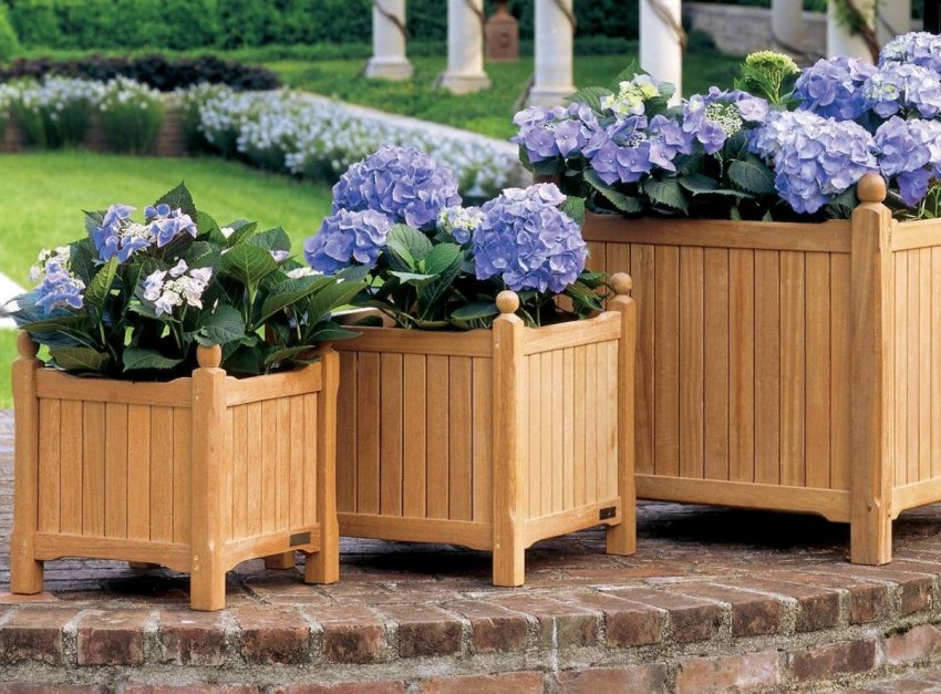 7 ідей, які зроблять ваш сад затишнішим