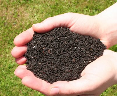 Ідеальне добриво існує: обираємо кращу органіку