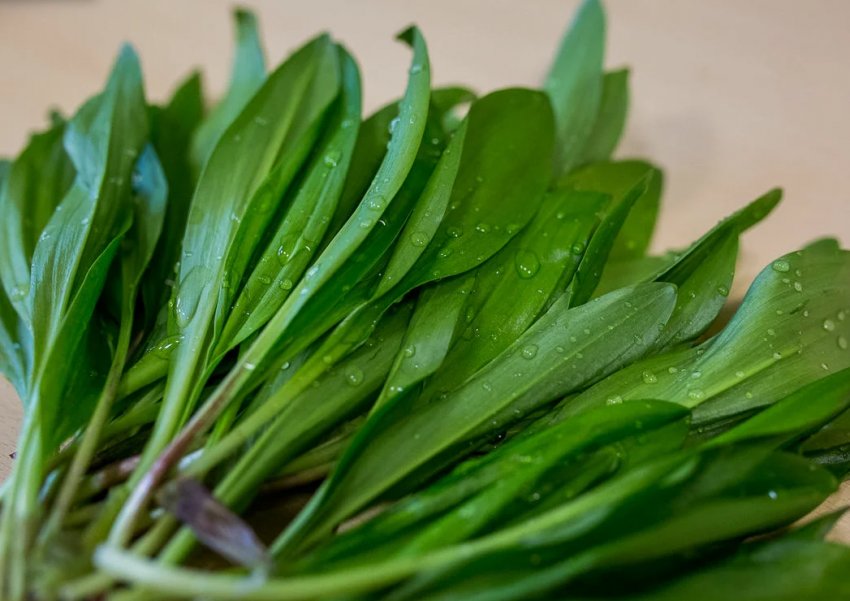 Що приготувати в березні: рецепти страв із сезонних продуктів