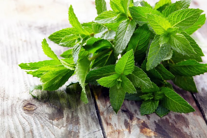 Що приготувати в березні: рецепти страв із сезонних продуктів