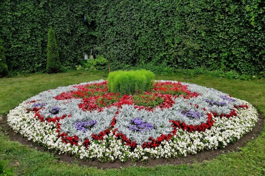 10 секретів ідеального квітника