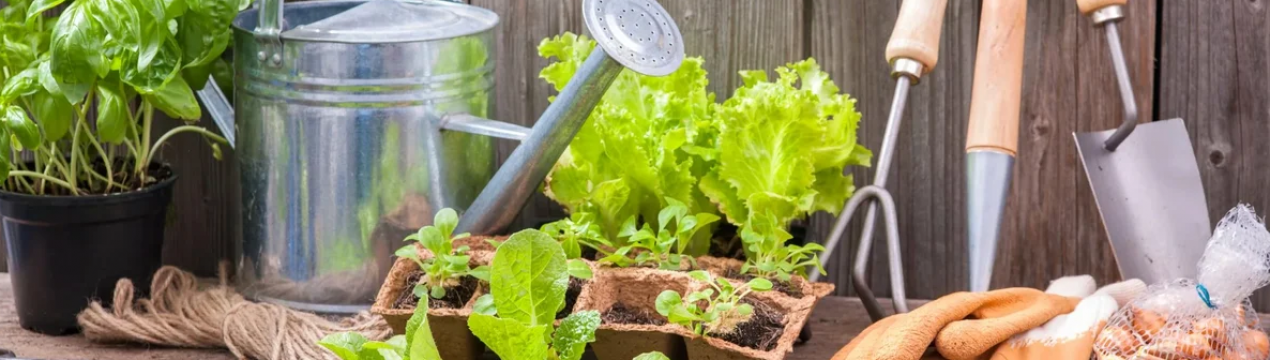 Березневі справи в саду та городі