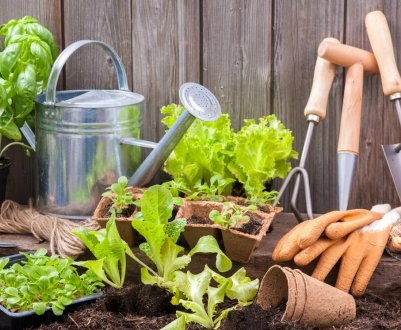 Березневі справи в саду та городі