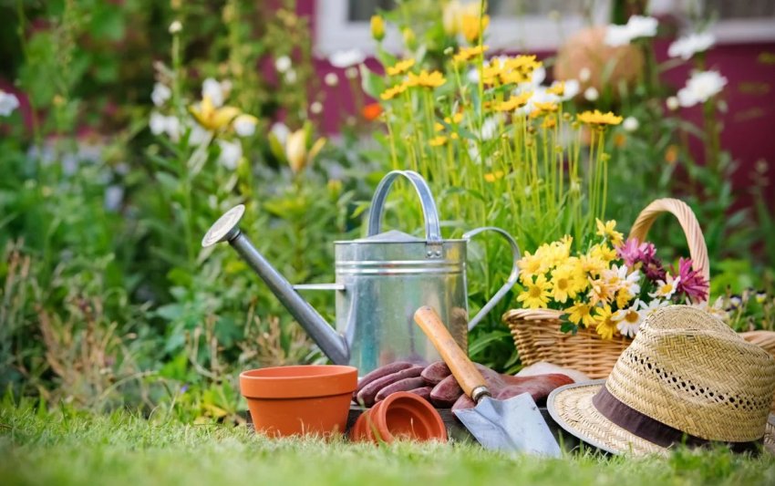 Березневі справи в саду та городі Березневі справи в саду та городі