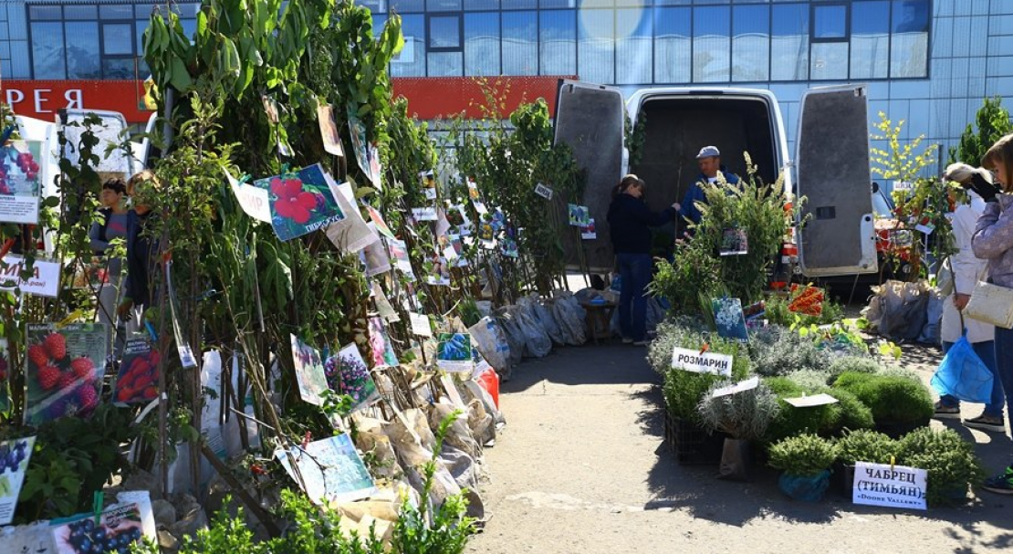 Сад Коллекционных Растений Белгород Интернет Магазин Купить