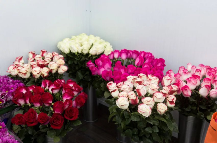 З наближенням жіночого дня флористи готуються до піку