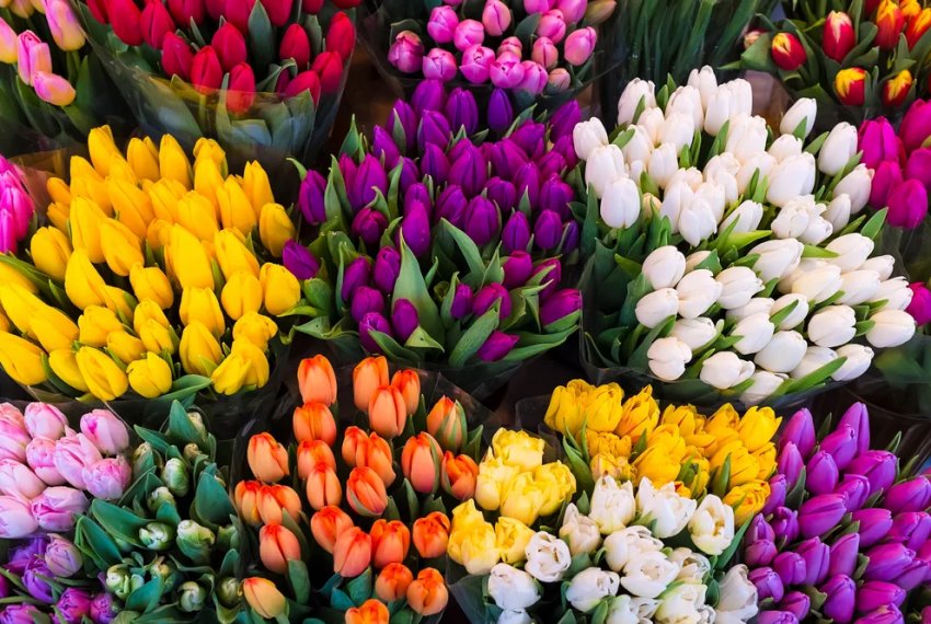 З наближенням жіночого дня флористи готуються до піку