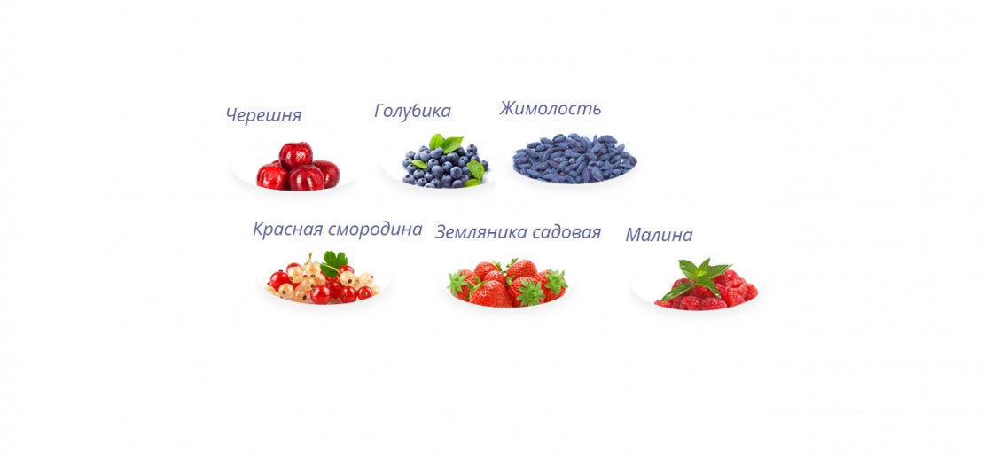ООО «Украинская Ягода»