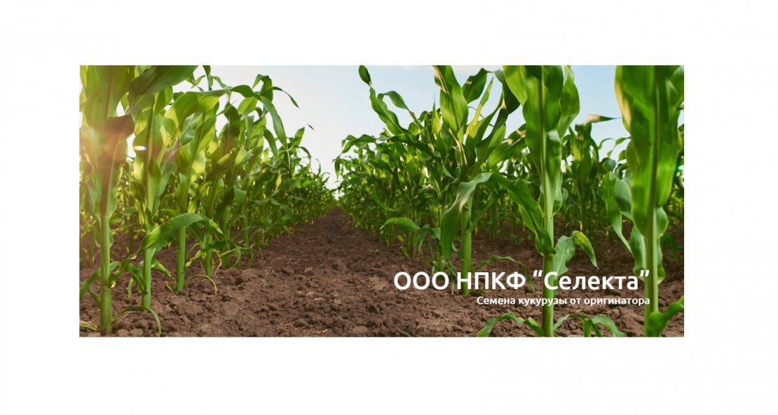 ООО НПКФ «Селекта»
