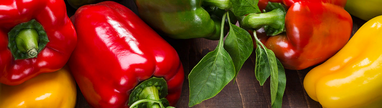 Виробники солодкого перцю отримують користь від використання комахи Macrolophus