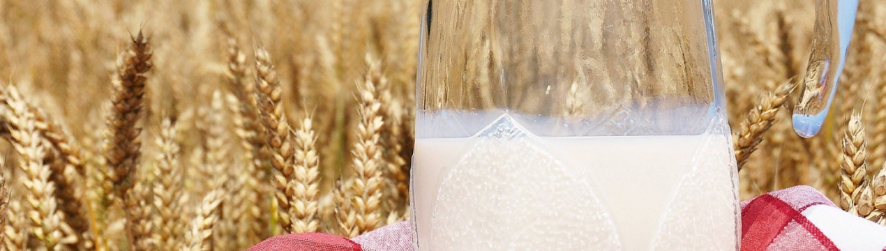 Індійський експорт може постраждати, оскільки світові ціни на продукти харчування у лютому знизяться