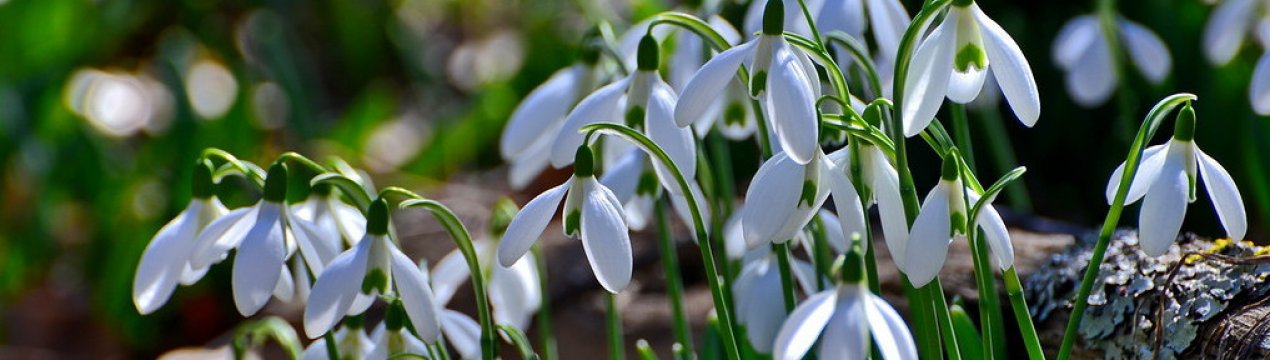 Місячний календар на березень 2020 року