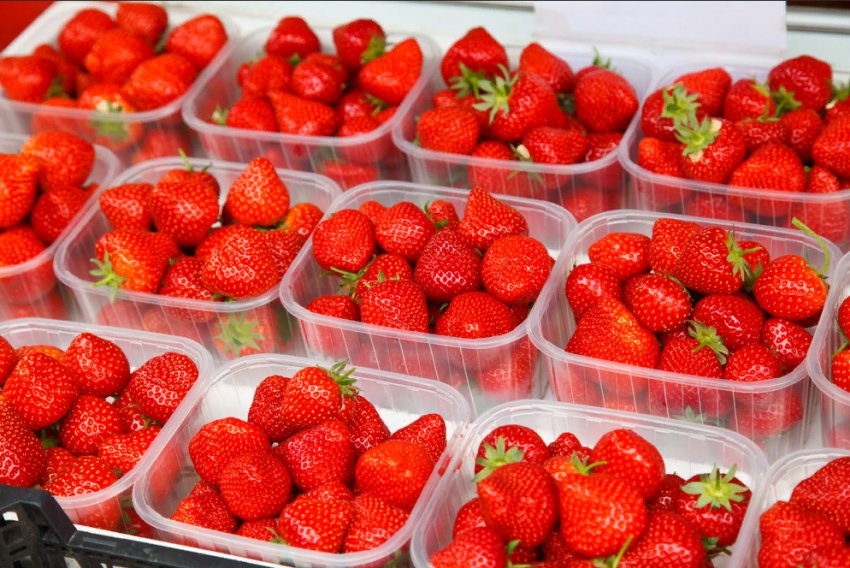 Продаж полуниці в Кореї Продаж полуниці в Кореї