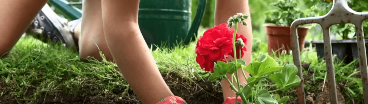 Як позбутися від втоми після робіт у городі