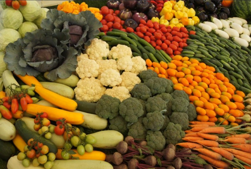 Експорт сільськогосподарської продукції у січні скоротився на 13% на фоні вибуху коронавірусу Експорт сільськогосподарської продукції у січні скоротився на 13% на фоні вибуху коронавірусу