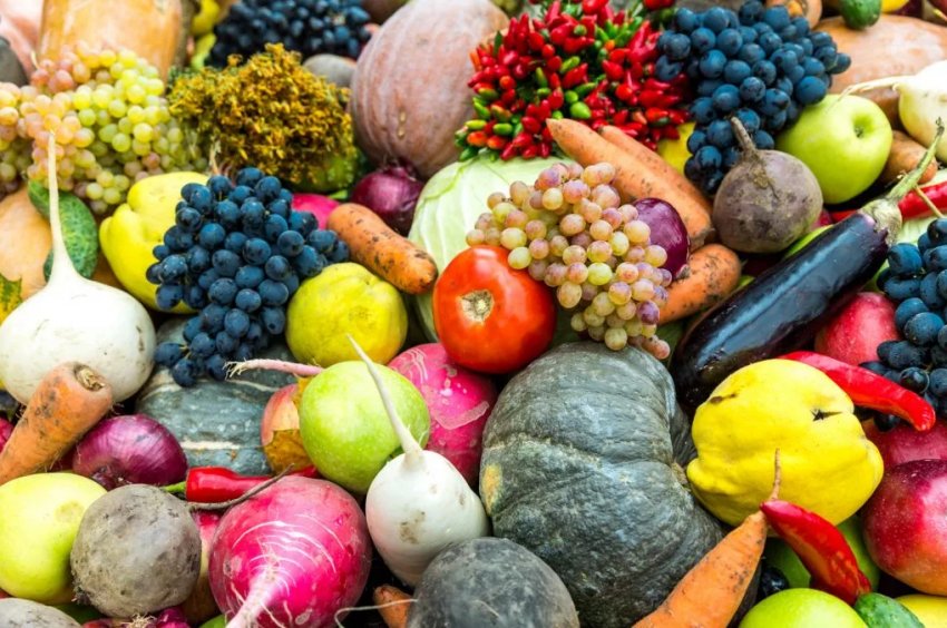 Експорт сільськогосподарської продукції у січні скоротився на 13% на фоні вибуху коронавірусу Експорт сільськогосподарської продукції у січні скоротився на 13% на фоні вибуху коронавірусу